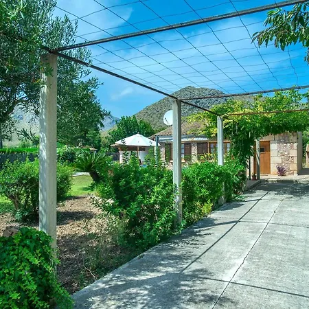 Owl Margarita - 15 Min Walk To The