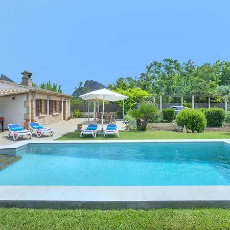 Owl Margarita - 15 Min Walk To The