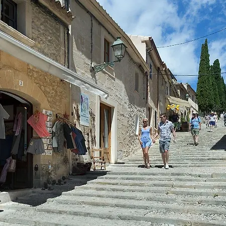 Owl Margarita - 15 Min Walk To The