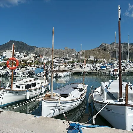 Owl Margarita - 15 Min Walk To The