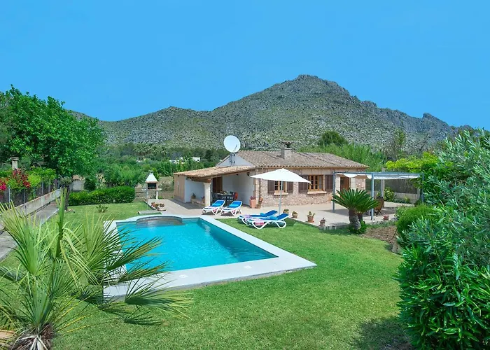 Owl Margarita - 15 Min Walk To The