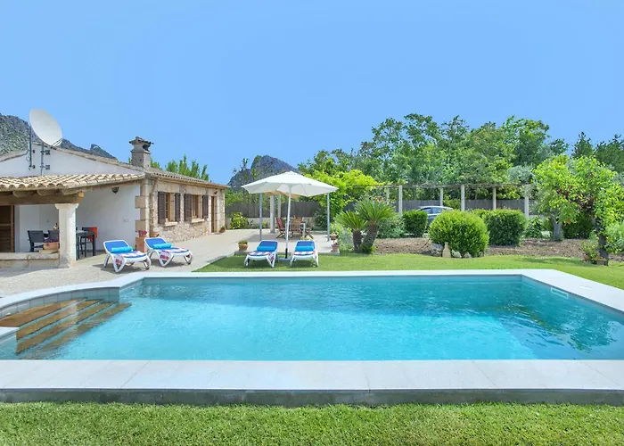 Owl Margarita - 15 Min Walk To The