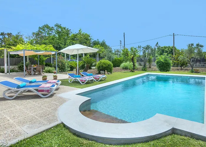 Owl Margarita - 15 Min Walk To The