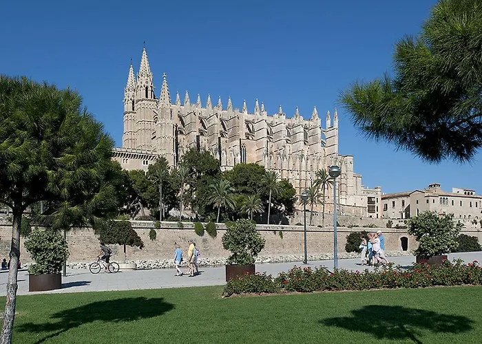 Owl Margarita - 15 Min Walk To The