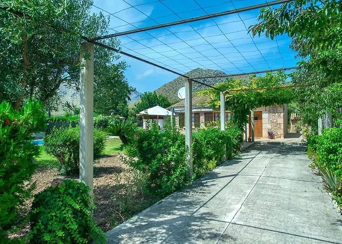 Owl Margarita - 15 Min Walk To The