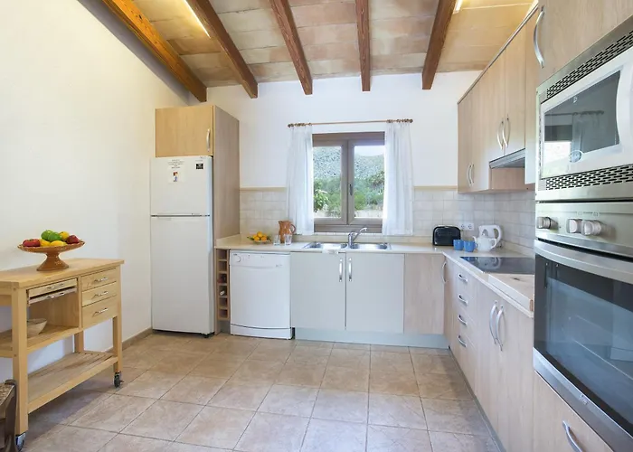 Owl Margarita - 15 Min Walk To The *