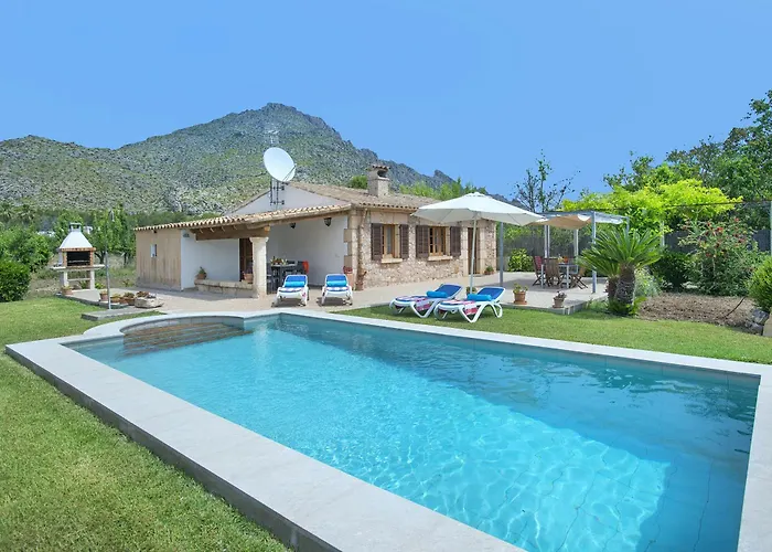 Owl Margarita - 15 Min Walk To The