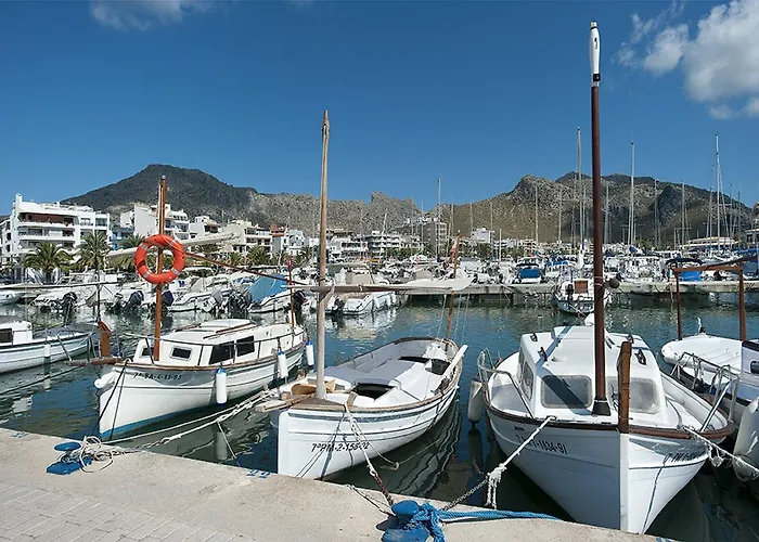 Owl Margarita - 15 Min Walk To The